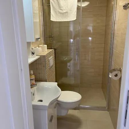 Outstanding Large For 6+2